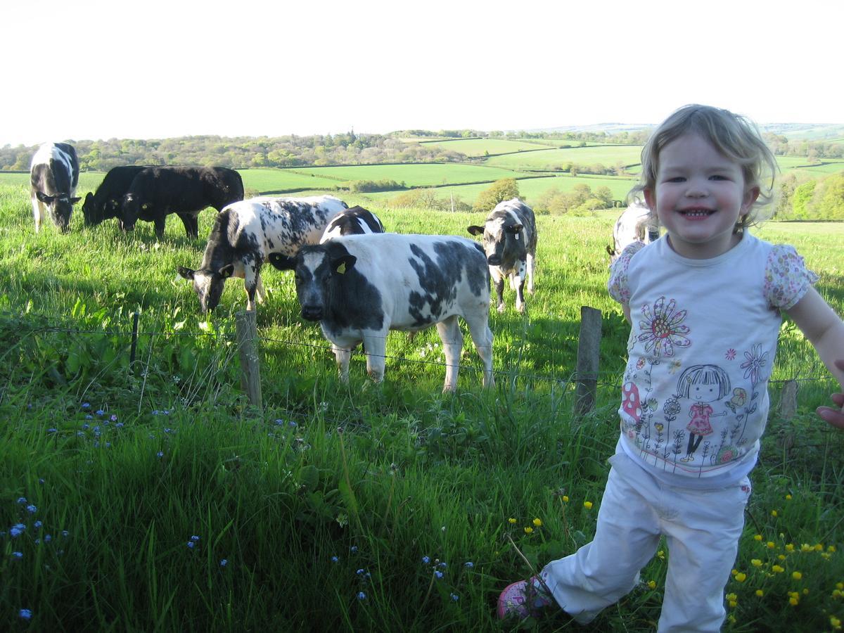 Three Gates Farm Holiday Cottages Huntsham Экстерьер фото